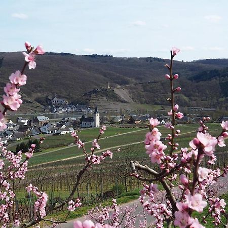 Gaestehaus Preuss Ellenz-Poltersdorf Extérieur photo