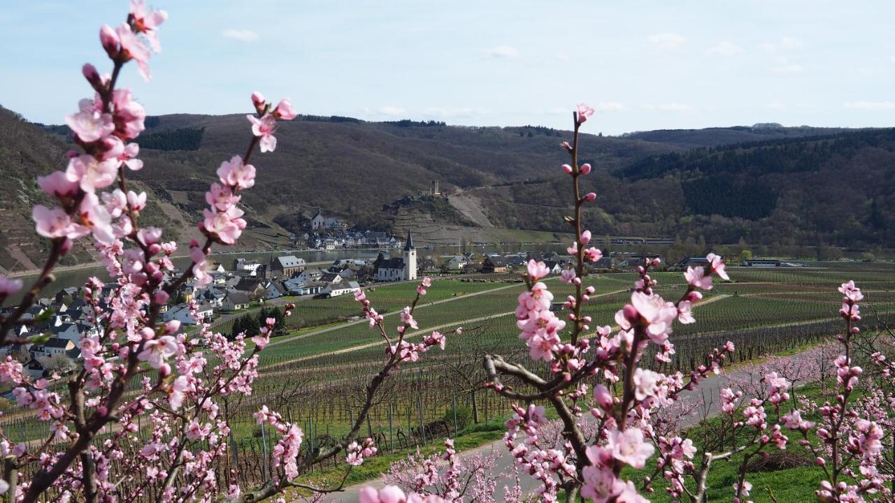 Gaestehaus Preuss Ellenz-Poltersdorf Extérieur photo
